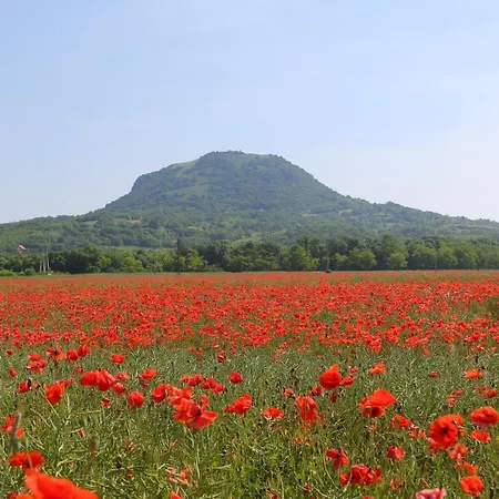 Affittacamere Gyulavezér Lovasbirodalma Vendégháza Gyulakeszi