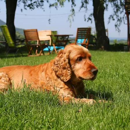 Affittacamere Gyulavezér Lovasbirodalma Vendégháza Gyulakeszi