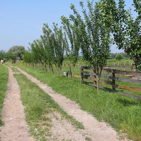 Gyulavezér Lovasbirodalma Vendégháza 3*