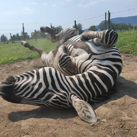 Affittacamere Gyulavezér Lovasbirodalma Vendégháza Gyulakeszi