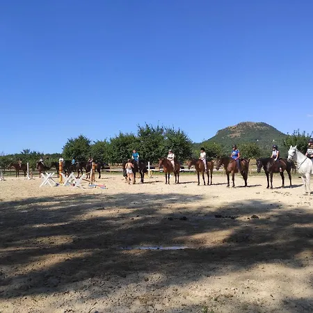 Affittacamere Gyulavezér Lovasbirodalma Vendégháza 3*