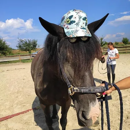 Gyulavezér Lovasbirodalma Vendégháza Affittacamere Gyulakeszi