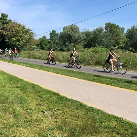 Gyulavezér Lovasbirodalma Vendégháza Affittacamere